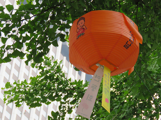 resize2886 写真: resize2886