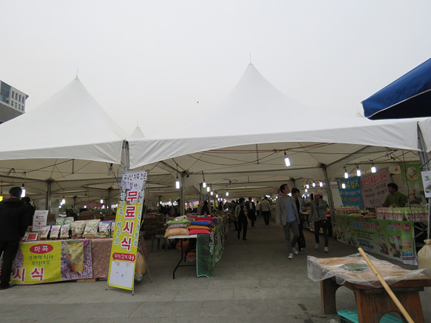 resize2892 写真: resize2892