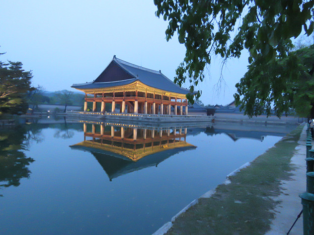 resize2937 写真: resize2937