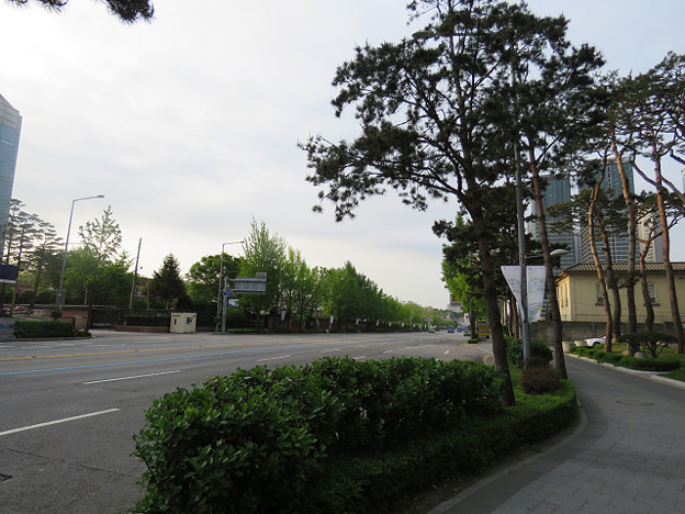 resize2999 写真: resize2999