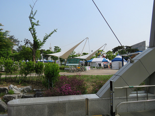 resize3021 写真: resize3021