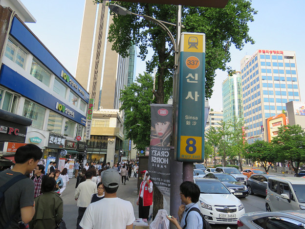 resize3309 写真: resize3309
