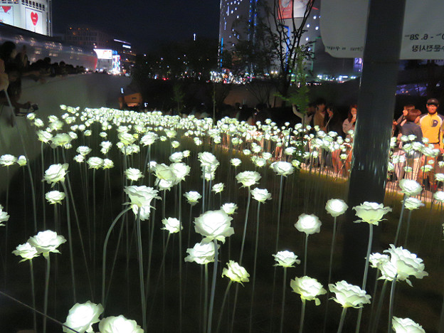 resize3369 写真: resize3369