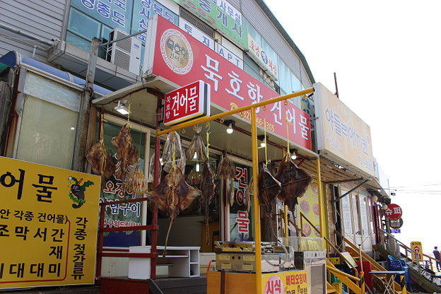 resize9967 写真: resize9967