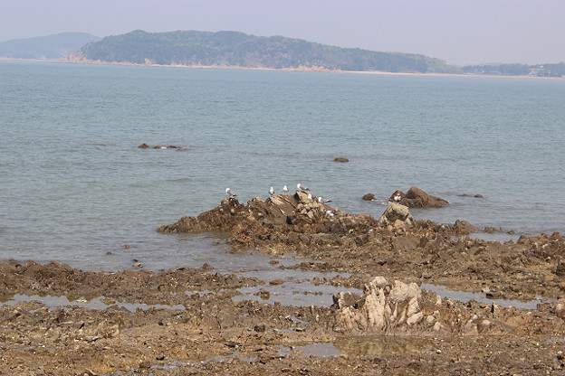 resize9972 写真: resize9972