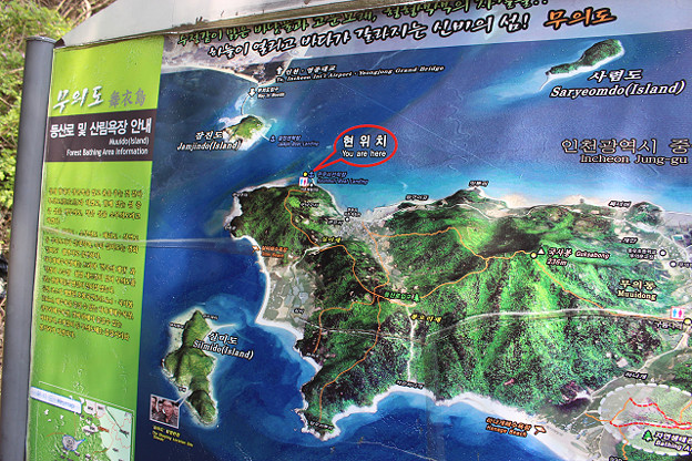 resize10001 写真: resize10001
