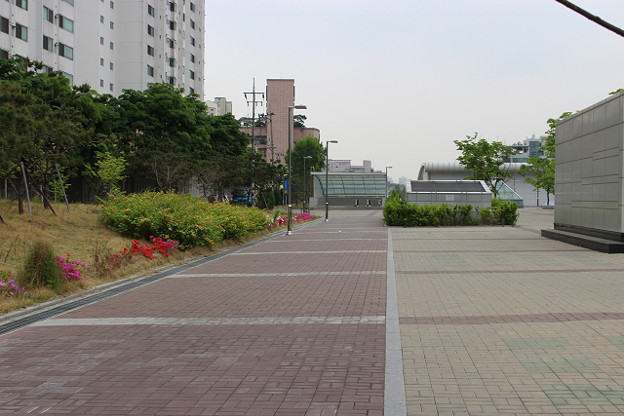resize10179 写真: resize10179