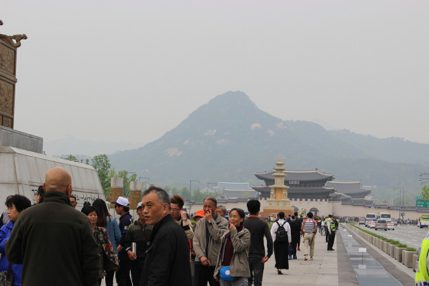resize10290 写真: resize10290