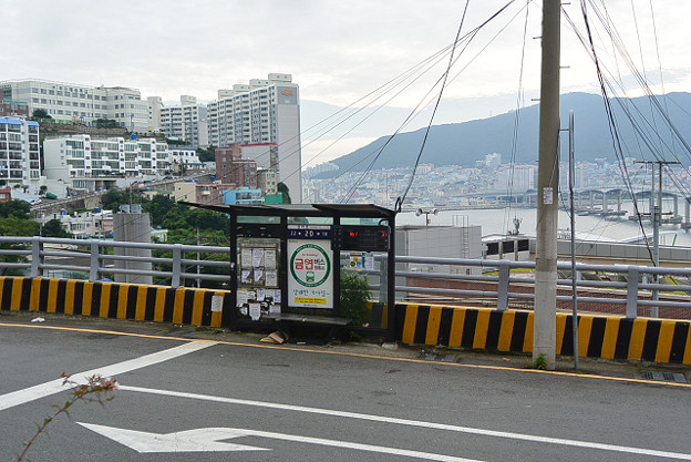 resize11547 写真: resize11547