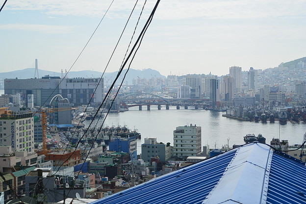 resize11608 写真: resize11608