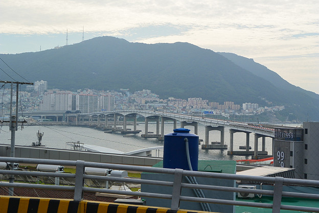 resize11548 写真: resize11548