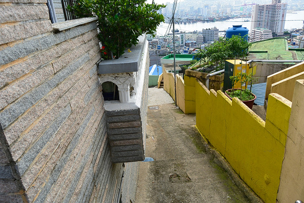 resize11606 写真: resize11606