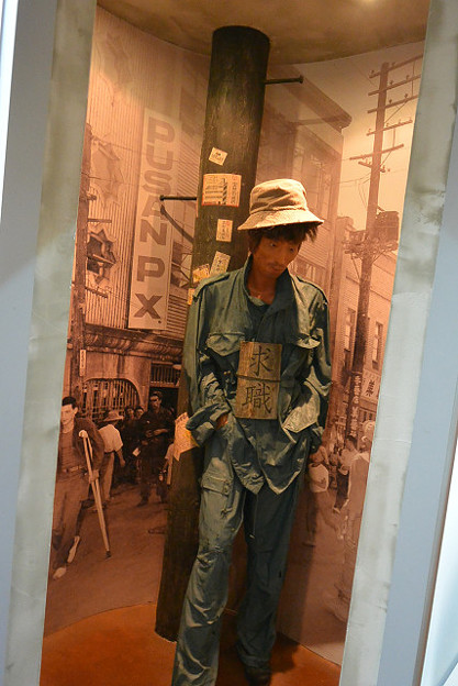 resize11653 写真: resize11653