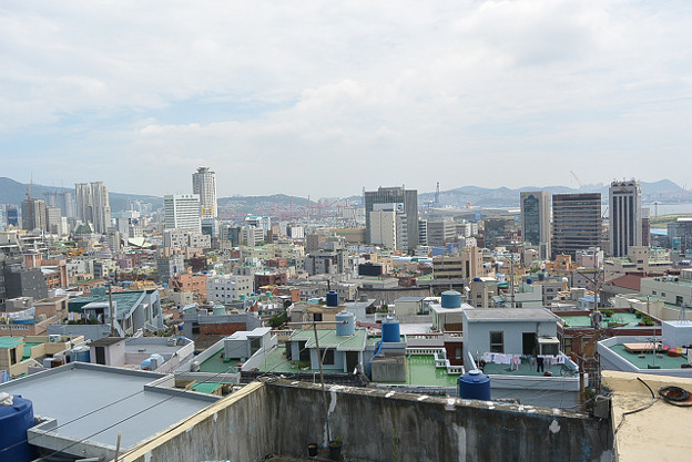 resize11725 写真: resize11725