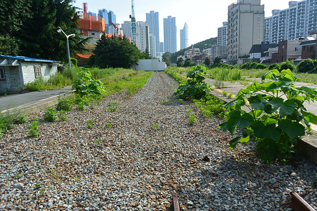 resize11753 写真: resize11753