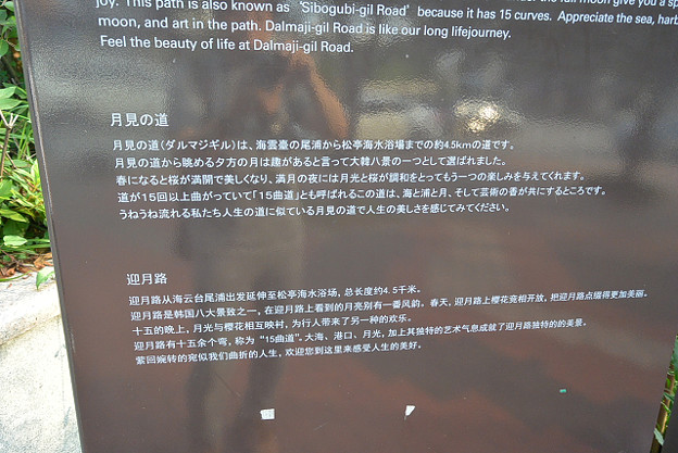 resize11769 写真: resize11769