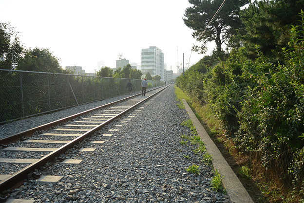 resize11779 写真: resize11779