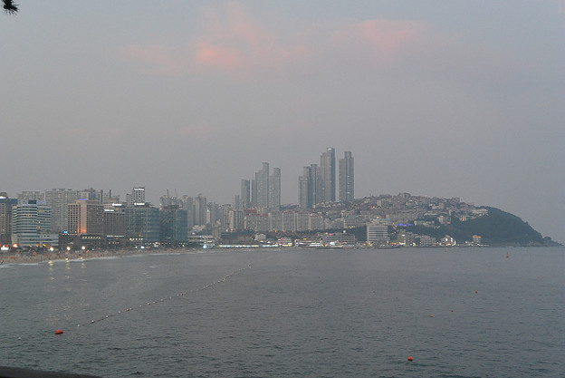 resize11805 写真: resize11805