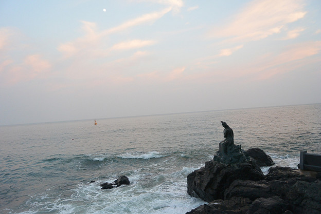 resize11804 写真: resize11804