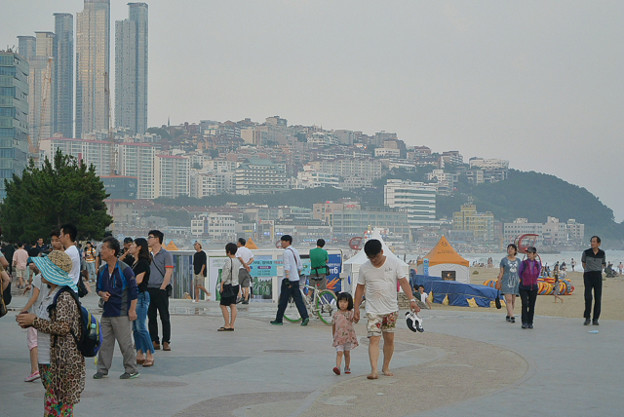 resize11788 写真: resize11788