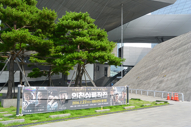 resize11853 写真: resize11853