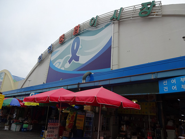 resize12149 写真: resize12149