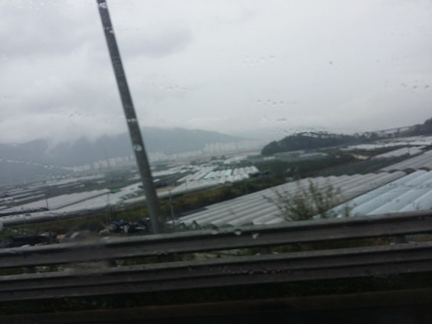 resize13426 写真: resize13426