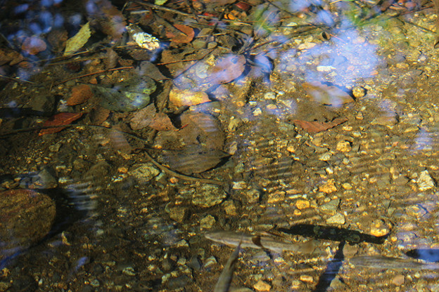 resize13747 写真: resize13747