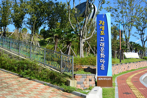 resize13020 写真: resize13020