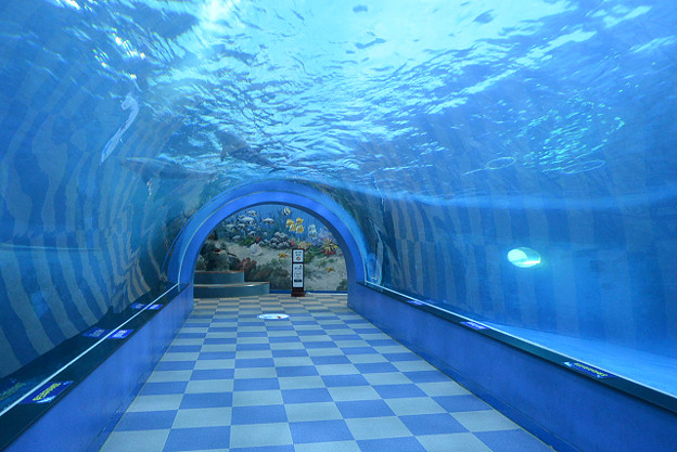 resize13116 写真: resize13116