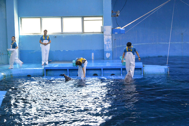 resize13121 写真: resize13121