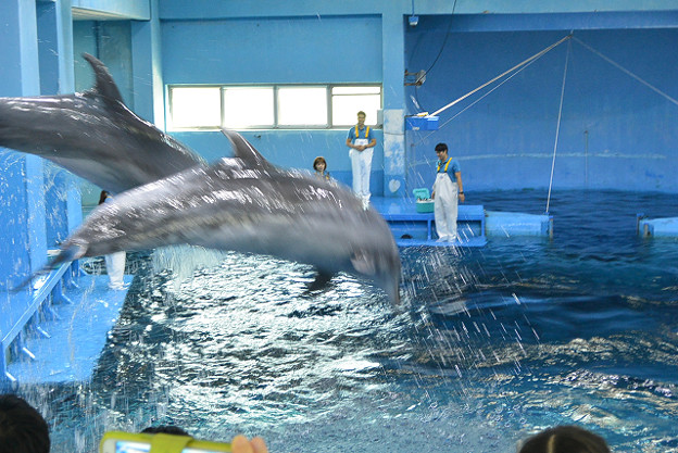 resize13124 写真: resize13124
