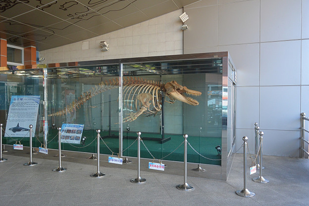 resize13146 写真: resize13146