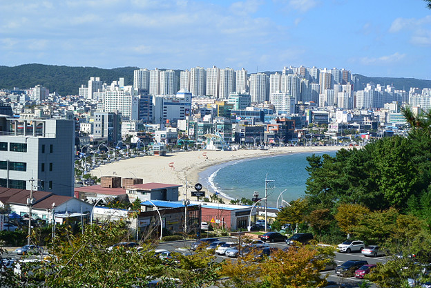 resize13165 写真: resize13165