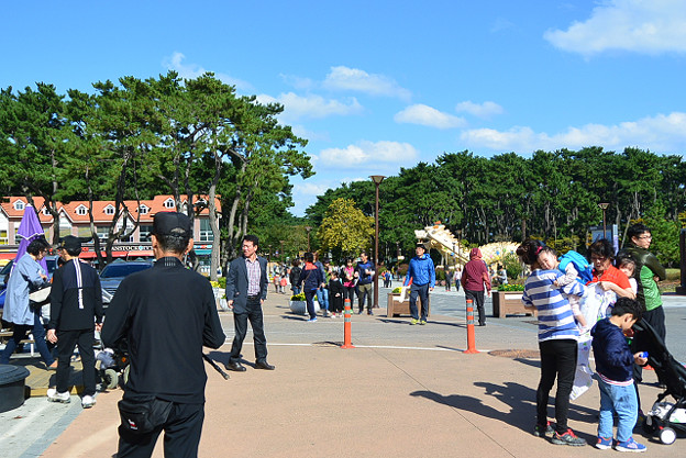 resize13166 写真: resize13166