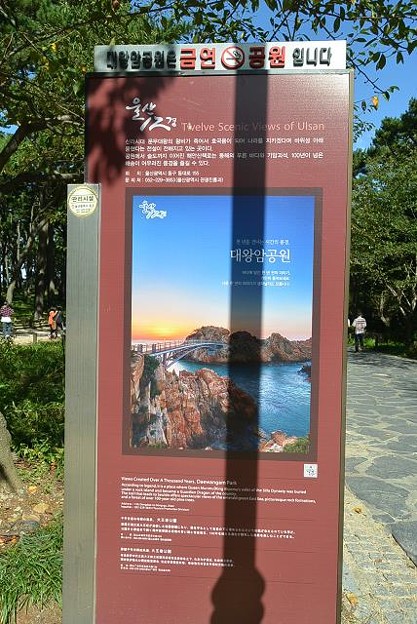 resize13170 写真: resize13170