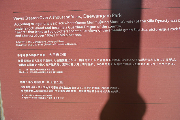 resize13169 写真: resize13169