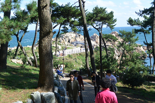 resize13181 写真: resize13181