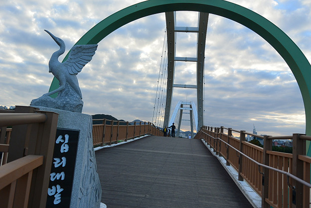 resize13248 写真: resize13248