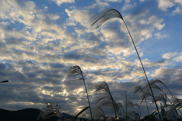 resize13258 写真: resize13258
