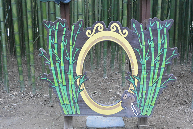 resize13271 写真: resize13271