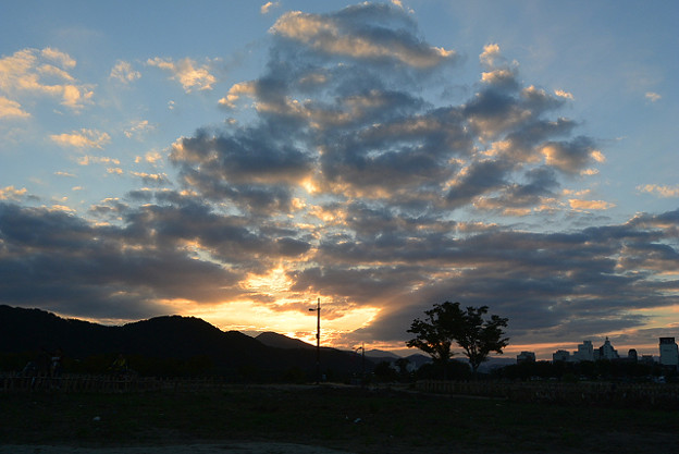 resize13284 写真: resize13284