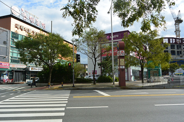 resize13338 写真: resize13338