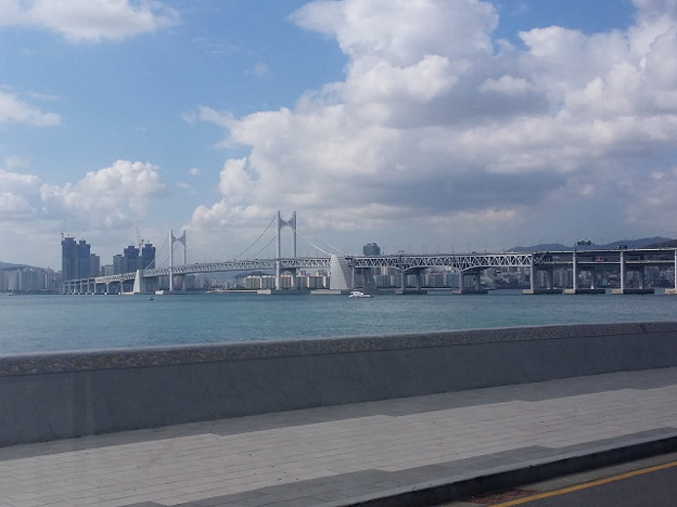 resize13649 写真: resize13649