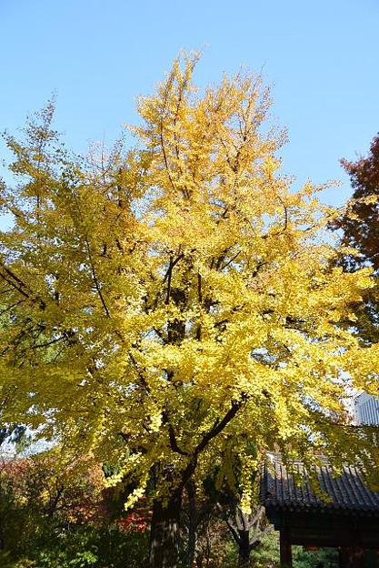 resize13808 写真: resize13808