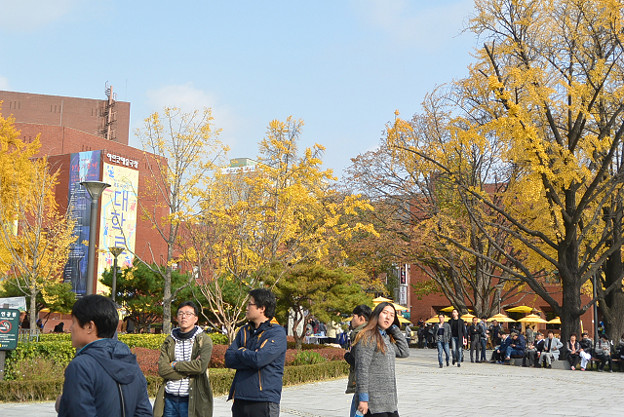 resize13876 写真: resize13876