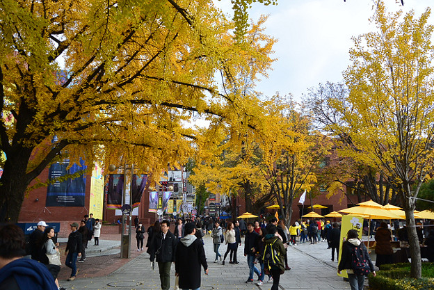 resize13878 写真: resize13878