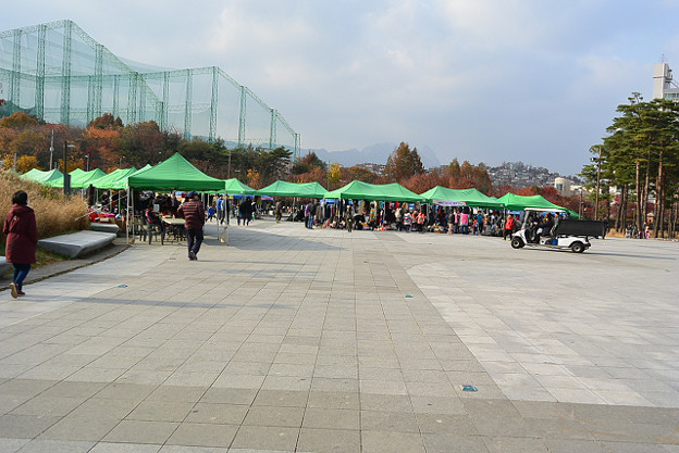 resize13902 写真: resize13902