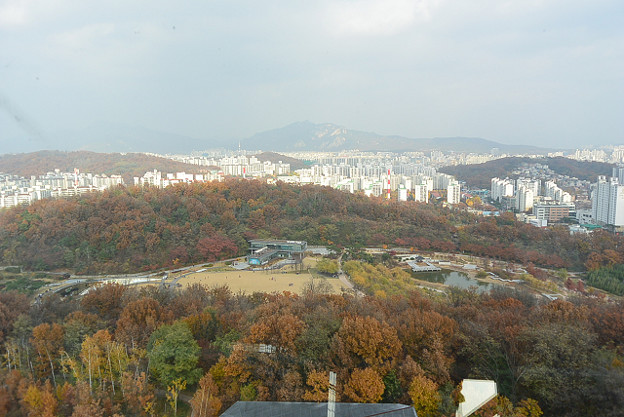 resize13914 写真: resize13914
