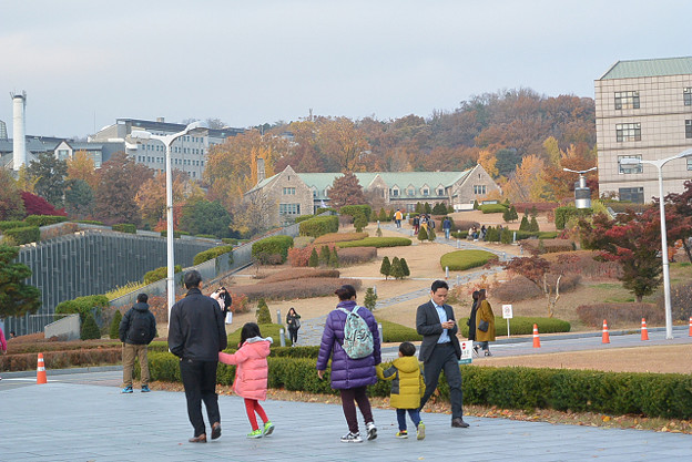 resize13932 写真: resize13932